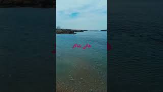 نسيانك صعب اكيد #هاني شاكر#حالات واتساب