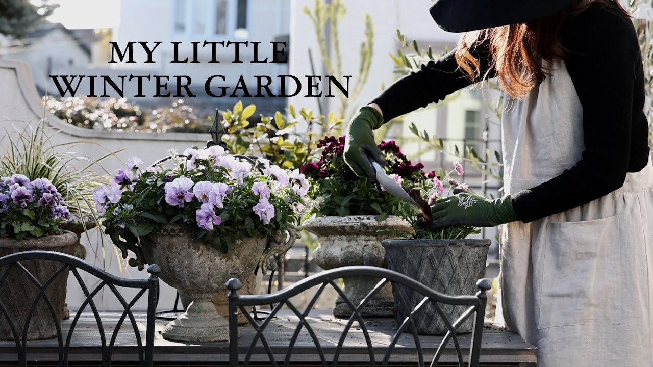 ガーデニング初心者　冬のおしゃれな庭づくりPart 3　反省と学び