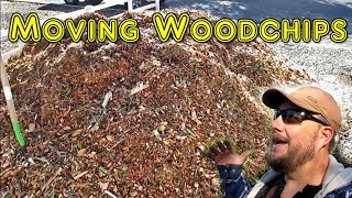 Are you thinking about bringing in woodchips to mulch your garden? Wondering what you