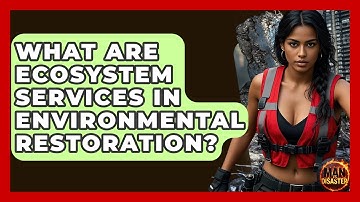 What Are Ecosystem Services In Environmental Restoration? - Man vs. Disaster