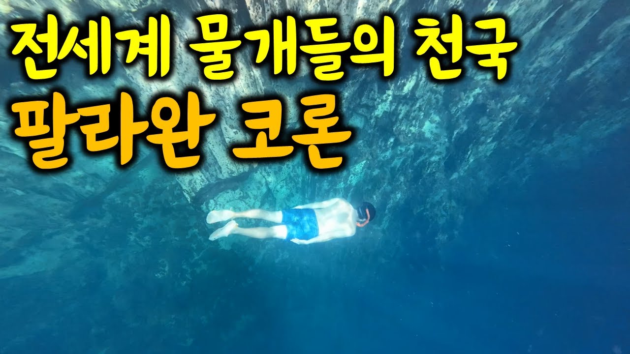 팔라완 물놀이 폼 미쳤다👏 / 필리핀 코론 4