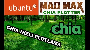 Ubuntu MadMax Hızlı Chia Plotter Sanal Sunucuda
