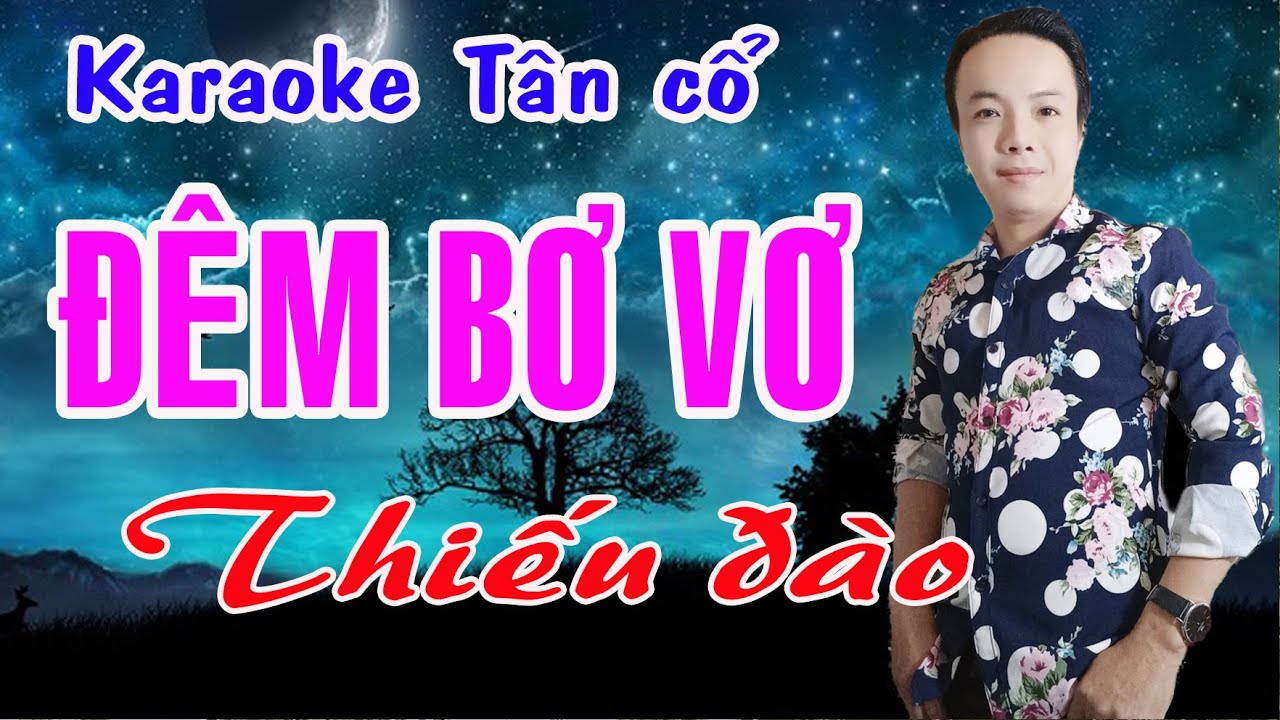 Karaoke tân cổ ĐÊM BƠ VƠ - THIẾU ĐÀO [Hát cùng Ns Ngọc Trắng]