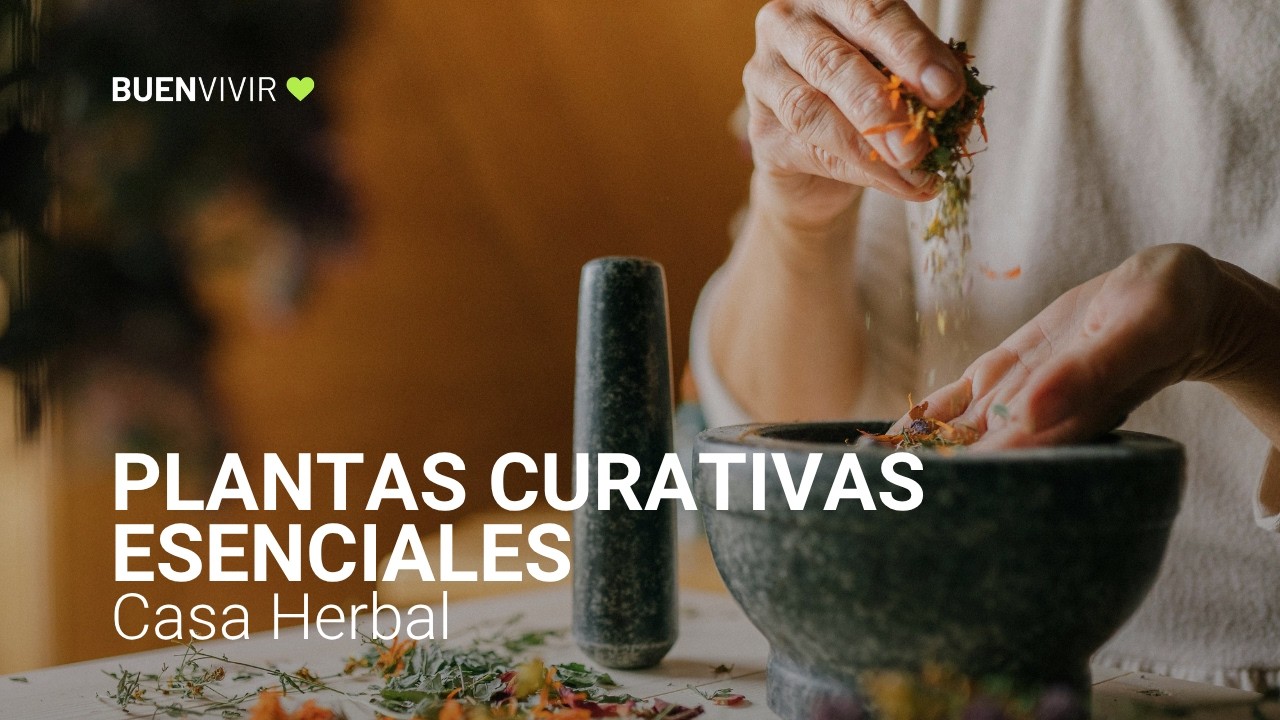 PLANTAS CURATIVAS ESENCIALES - Casa Herbal - Ana Paula Gorozureta - BUENVIVIR💚 06/05/26 Canal 4