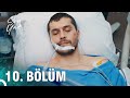 Son Yaz 10 Bölüm HD Son Yaz 10 Bölüm HD