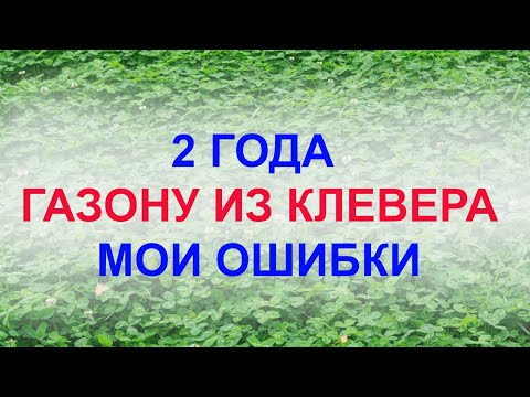 Видео: Информация о растении красного клевера - избавление от красного клевера во дворах