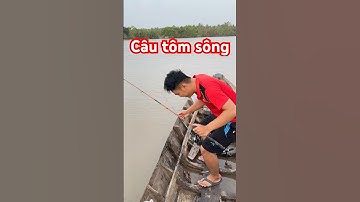 Câu tôm càng xanh #viral #shortvideo