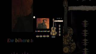 Mihemed Şêxo - Ey Felek Bo Te Dinalim