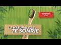 Colgate Bamboo – Bueno para ti, bueno para el planeta ...