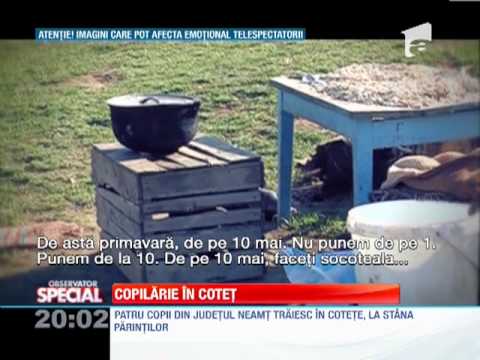 Patru copii din judetul Neamt traiesc in cotete, la stana parintilor