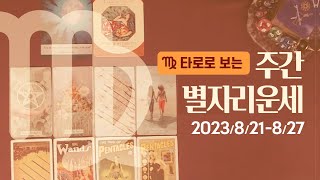 [타로/종합운] 2023년 8월 셋째주 별자리 운세 (8/21 ~ 8/27)