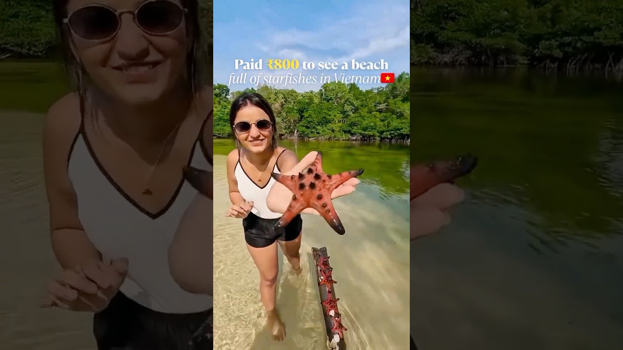 Paid ₹800 to visit a beach full of starfishes in Phu Quoc, Vietnam 🧡🇻🇳