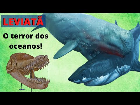 Vídeo: Qual era o tamanho da baleia leviatã?