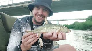 видео: р. БИСТРИЦЯ. Риболовля на фідер. Клює ЧЕРВОНОКНИЖНА РИБА!!! картинка: р. БИСТРИЦЯ. Риболовля на фідер. Клює ЧЕРВОНОКНИЖНА РИБА!!!