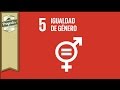 Equidad de Género | PROYECTO 17 TVUDLAP