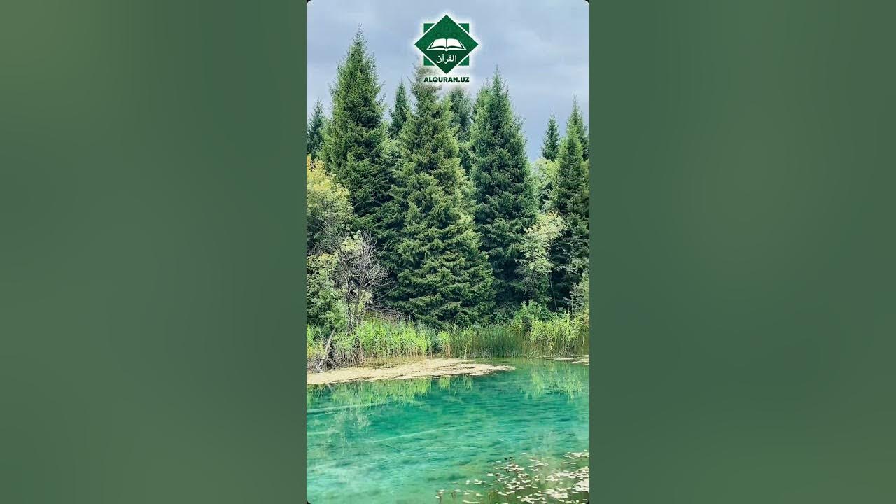 Ayollar guruh jinsiy aloqani yaxshi koradilar Oq sochli qora ayol