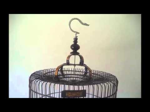 Jual Sangkar Burung Bulat Murai Batu Murai Ekor Panjang Finishing