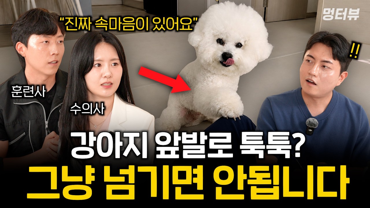 강아지는 왜 앞발로 보호자를 툭툭 건드릴까? (무시하면 안되는 속마음이 있어요) | 멍터뷰 ep.101