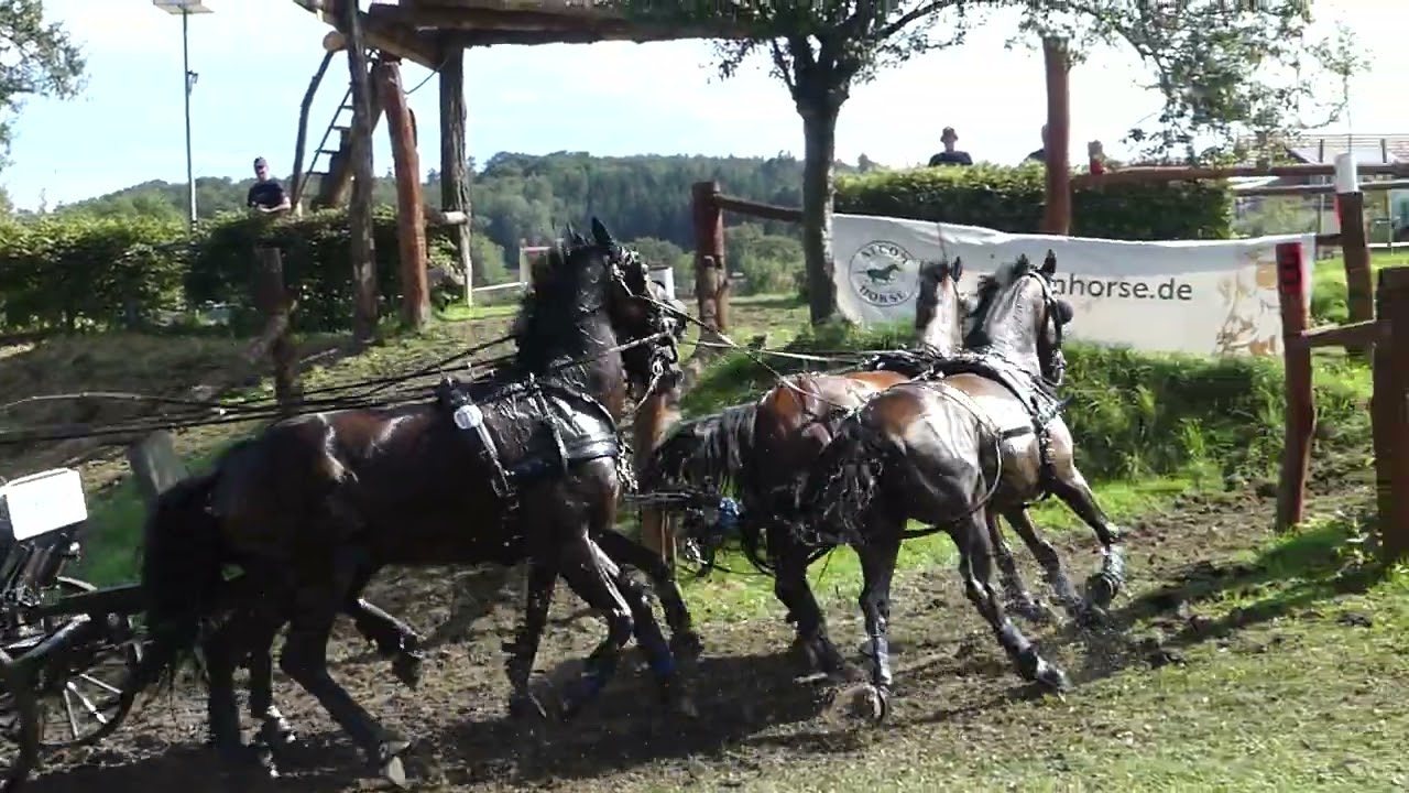 53 DUEN Rainer, H4, DM Po 1,2,4, DM H4, Modautal Herchenrode, Marathon 17 08 2024, Ob 2