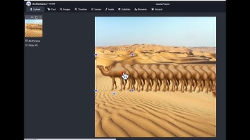 Kapwing timeline and scenes.