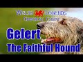 The legend of beddgelert  gelert the faithful hound