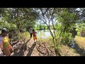 Our Tilapia Fishpond at AP Farm Part 2