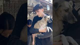 Thumbnail for Hunde RETTUNG🐕🥺