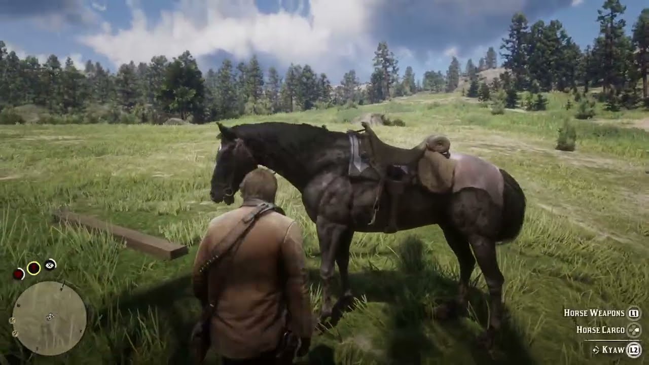 Red Dead Redemption 2 Walkthrough - No Commentary (Episode 8) - YouTube
