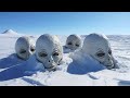 Lo Que Descubrieron En El Hielo Ha Paralizado Al Mundo 😨