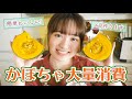 【かぼちゃ大量消費】簡単おいしい4品の料理をひたすら作ります！【料理音フェチASMR】