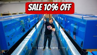 DISCOUNTING MY WHOLE STORE | Full Fishroom Tour & Stock