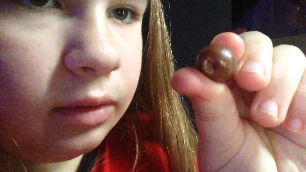 I FOUND DRUGS IN MY HALLOWEEN CANDY REPORT  YouTube