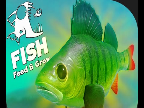 8 EP - FEED AND GROW FISH #sobrevivência #feedandgrowfish  #feedandgrowfishgameplay#peixes 