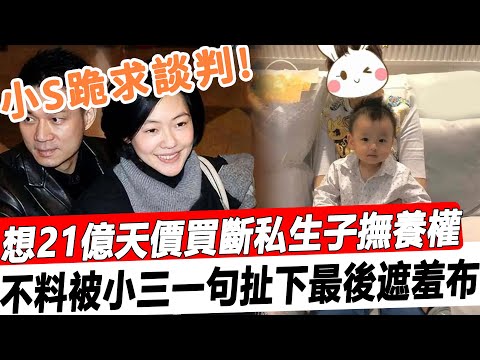 21億天價買斷私生子撫養權？小S低聲下氣跪求談判，不料被小三一句扯下她最後遮羞布，太丟臉！#星娛樂#