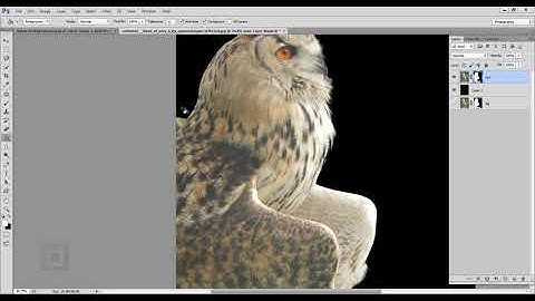 How to blur background in photoshop Dslr style  photo effects tutorial