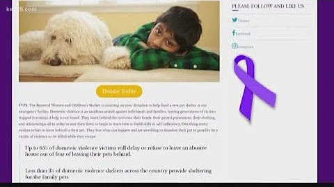 Pet shelter could be key to encouraging domestic violence victims to leave abusive relationships