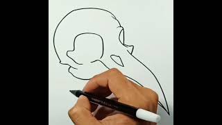 How to draw Bird Skull #shorts