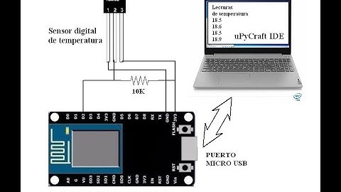 NodeMCU ESP8266 ESP12E uPyCraft Micropython Lectura de temperatura Sensor DS18B20 Puerto serial