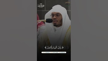 مقتطف من تلاوة فضيلة الشيخ أ.د. #ياسر_الدوسري من صلاة الفجر 19 محرم 1446هـ.