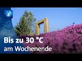 Wetter in deutschland ungewhnlich warmes wochenende erwartet