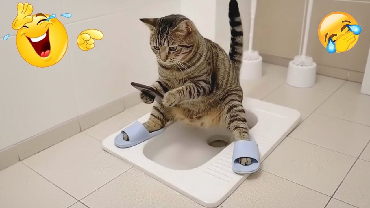 You Laugh You Lose 😋 The Best Funniest Cats and Dogs Moments Compilation 2026 🐈 Part 7