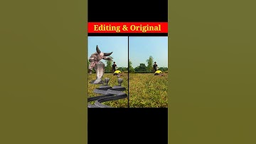 Ham Vfx Snake ki Shoot ese karte hai Original And Editing | #magic #shorts #vfx #shortsfeed