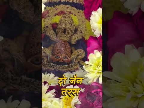 Khatu shyam ❤️❤️🙏🙏 #vickymandhan #khatuwalashyam