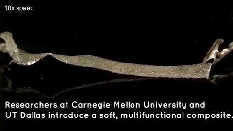 Soft Multifunctional Material with Liquid Crystal Elastomer