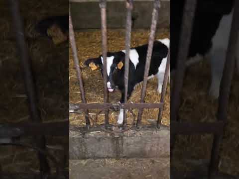 انا ليه حاسس انو بيفهمني