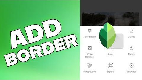 How to Add Border in Snapseed 2025?
