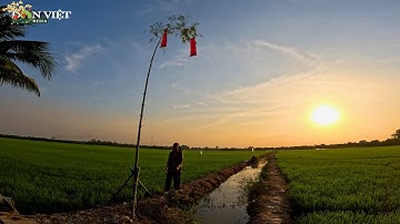 Dựng cây nêu ngày Tết ở An Giang: Nét đẹp vùng thôn quê