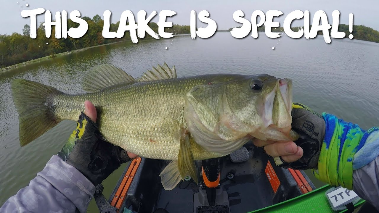 This LITTLE LAKE in Ohio has BIG BASS!