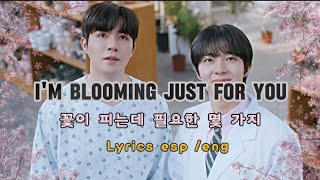 Nunew x Paul Kim - I'm blooming just for you 꽃이 피는데 필요한 몇 가지 LYRICS/LETRA