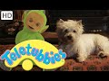 Teletubbies | Dirty Dog | Official Classic Full Episode